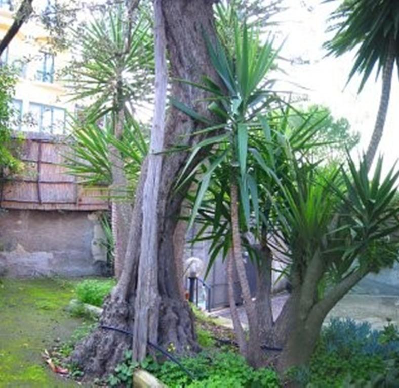Villa Orchidea Sorrento Værelse billede